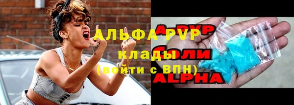 сатива Инта