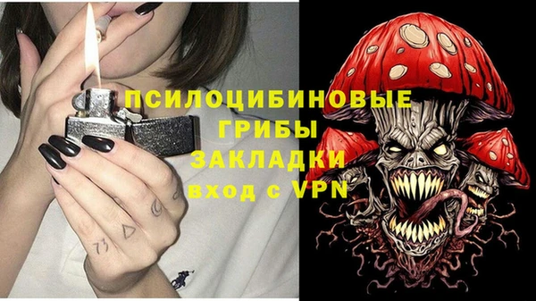 ALPHA-PVP Инсар