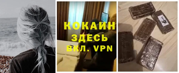сатива Инта