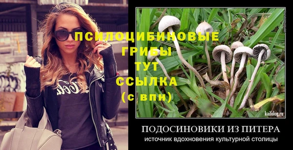 ALPHA-PVP Инсар