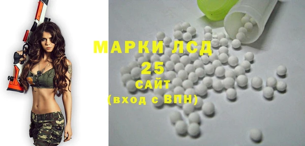 сатива Инта