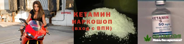 сатива Инта