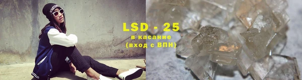 сатива Инта