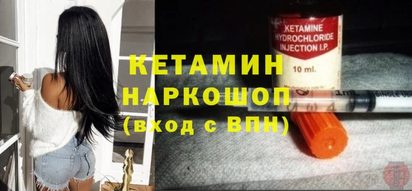 сатива Инта