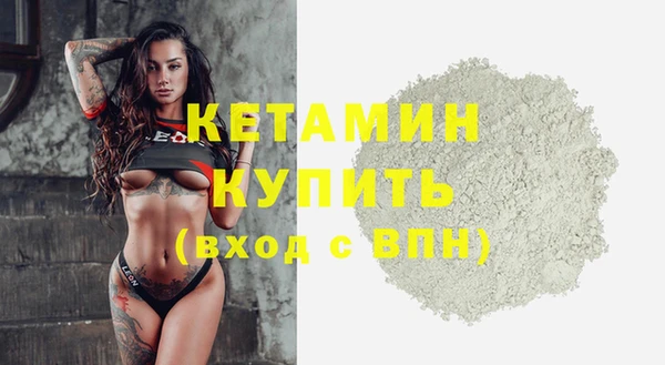 сатива Инта