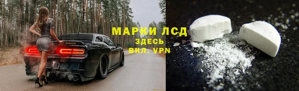 сатива Инта
