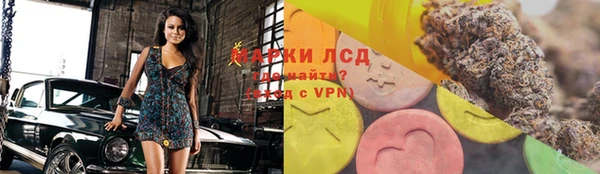 сатива Инта