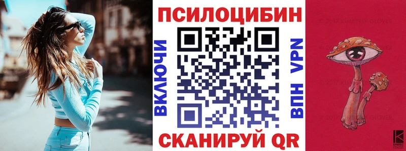 Псилоцибиновые грибы Magic Shrooms  Купить закладки  Венёв 